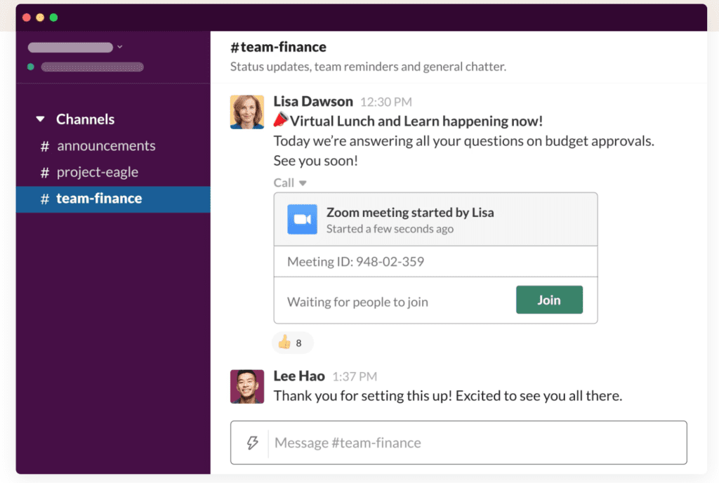 Team finance Zoom meeting in progress.