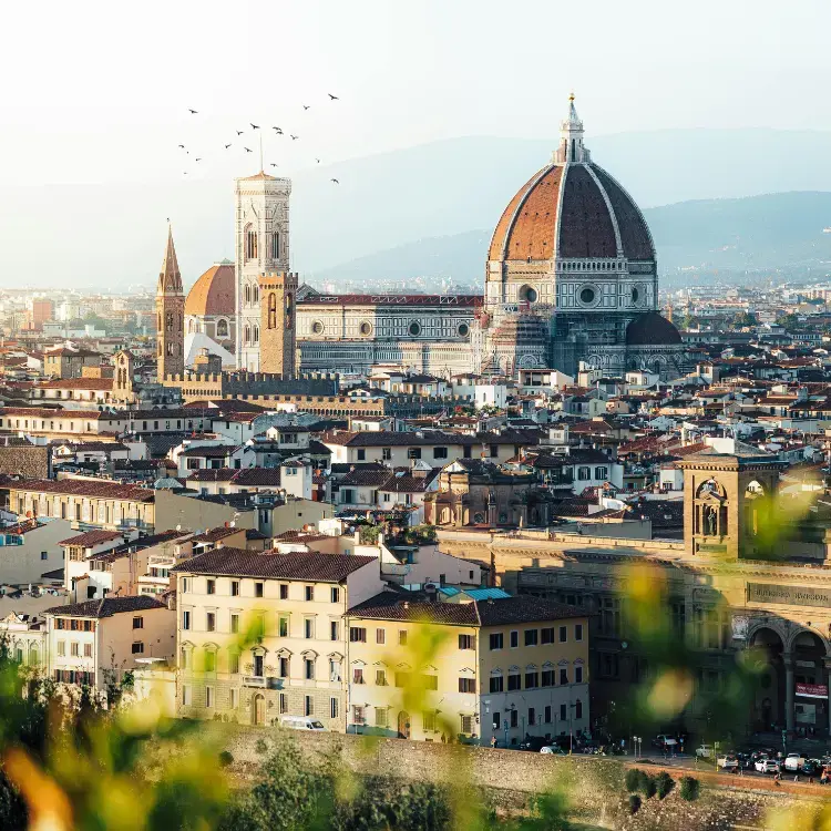Florence cityscape with cathedral and birds.
